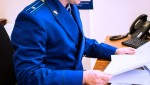 Вступил в законную силу приговор в отношении двух лиц, совершивших в составе организованной преступной группы похищение 8-летней девочки в Козельске
